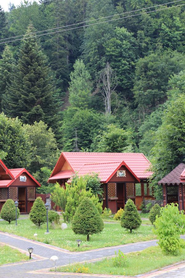 Sokolyne Gnizdo Hotel Korostov Exterior foto